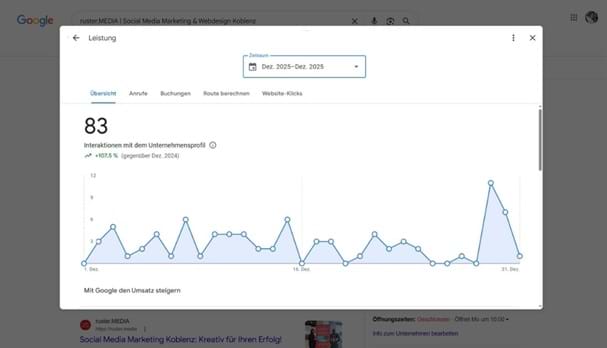 Screenshot Google Unternehmensprofil: Analysedaten