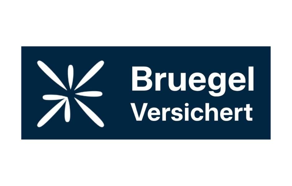 Logo "BruegelVersichert, Hunsrück & Neuwied"