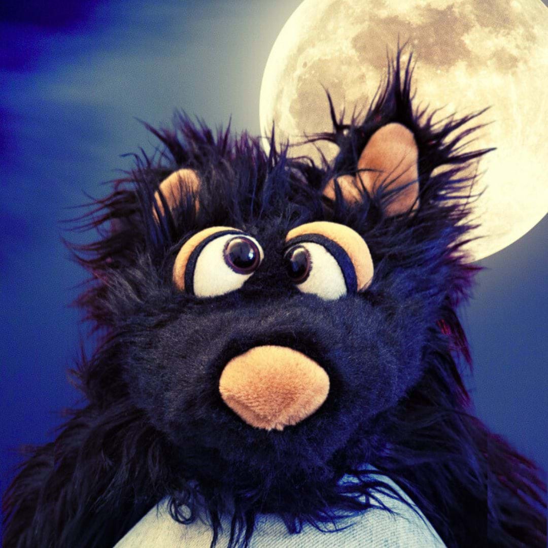 Foto "Lupino Black bei Vollmond"